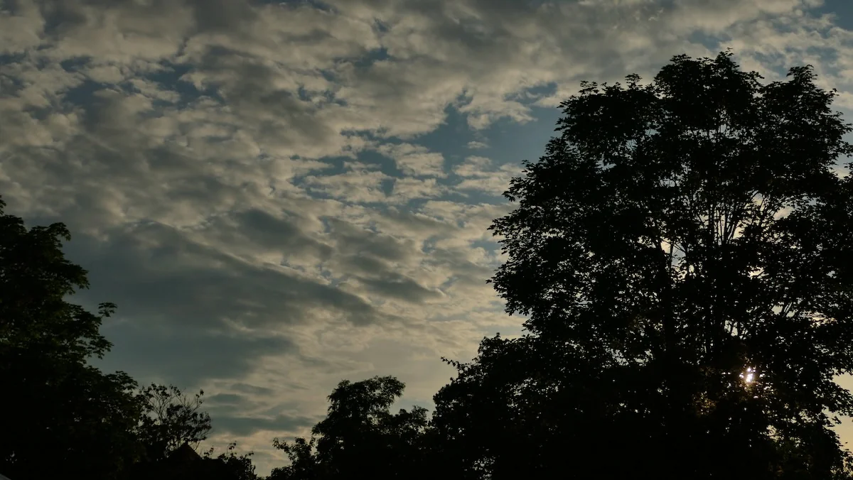 Impressionen vom Dorffest 2025